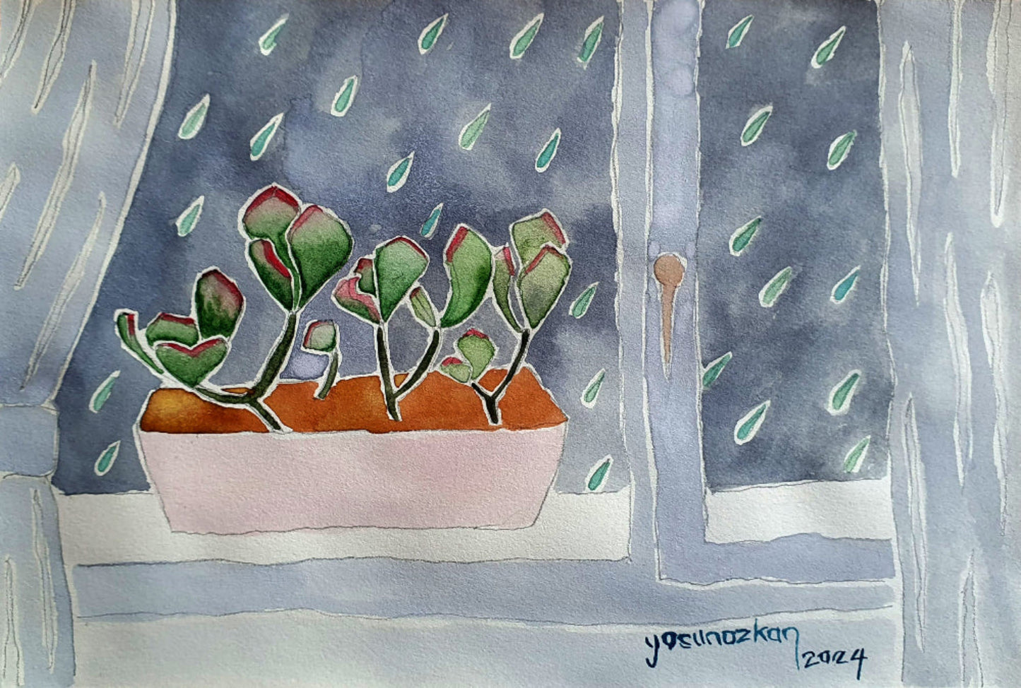 Succulents that swell in the constant rain